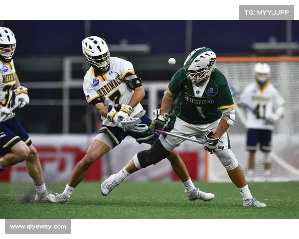 气排球如何从小众项目到企业团建新风尚的蜕变与突围